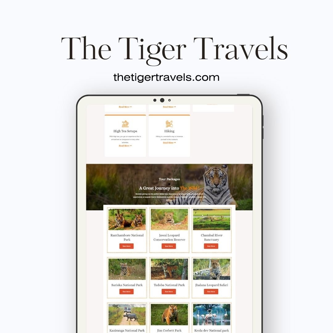 Tour Packages Website Designer