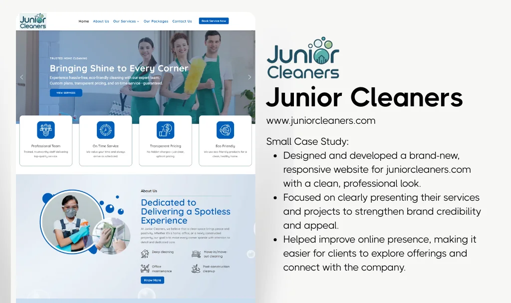 Best-Cleaners-Company-Website-Designer